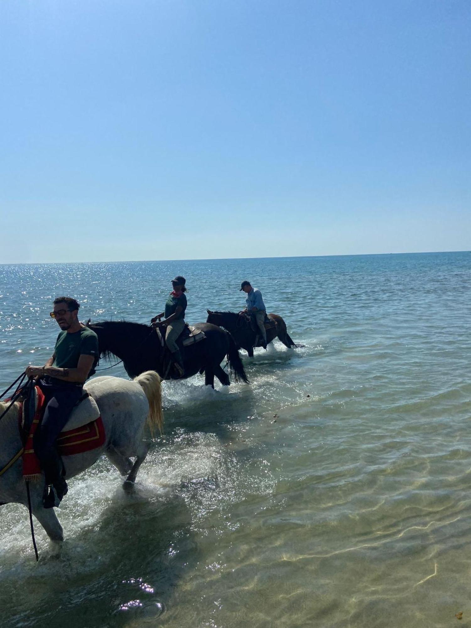 Le Dimore By Josy Bed & Breakfast Marina di Ginosa Екстериор снимка